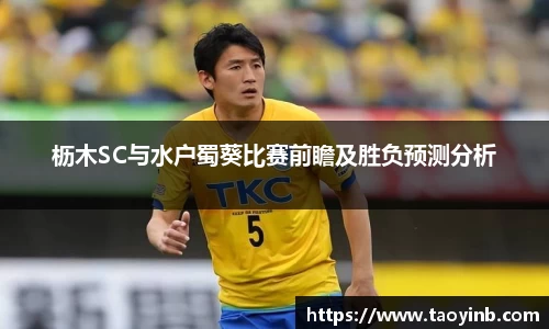 枥木SC与水户蜀葵比赛前瞻及胜负预测分析