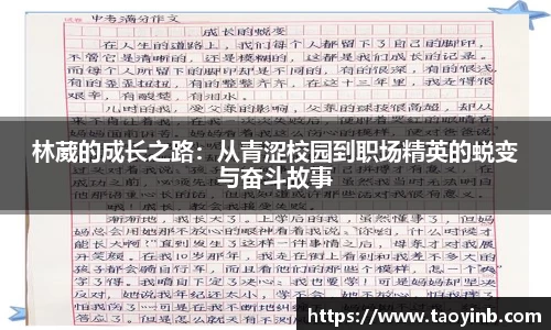 bbin娱乐场